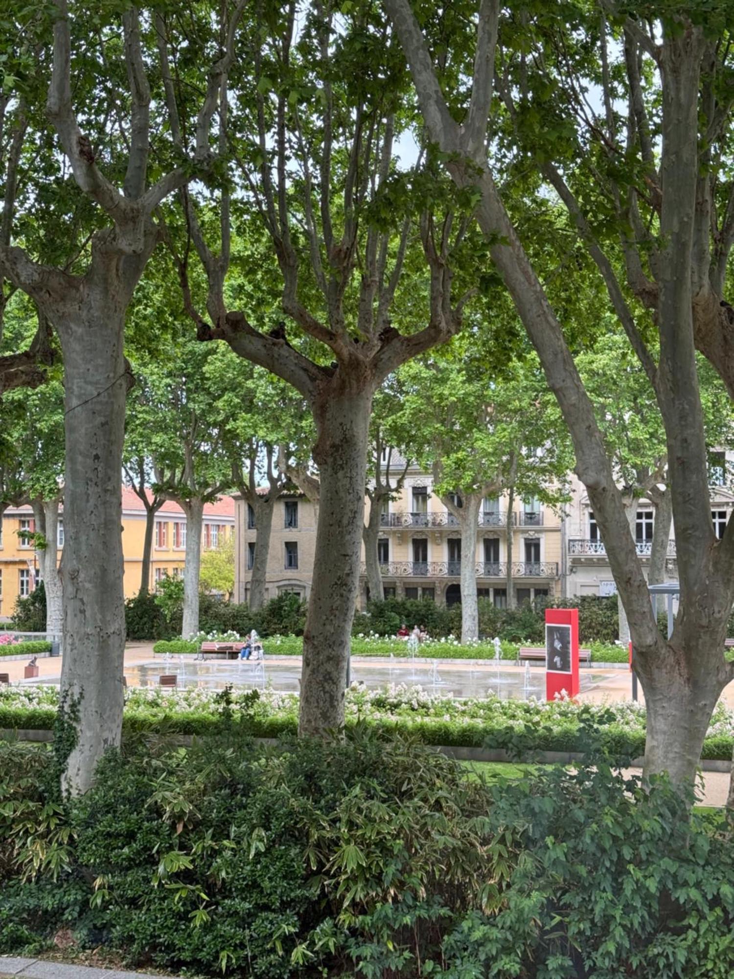 Le Carre Gambetta Apartment Carcassonne Exterior photo